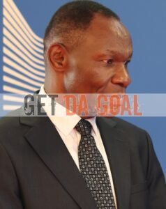 Bitange Ndemo Biography